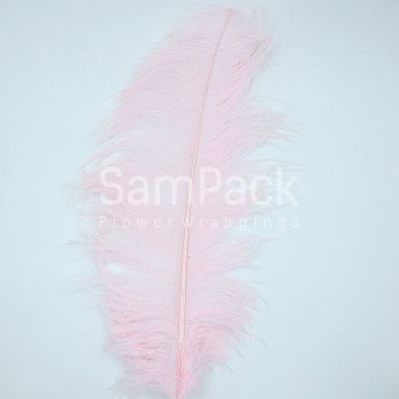 Перья страус бледно- розовый  60см Перья страус 60см 