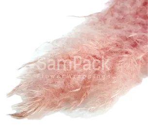 Сухоцвет "Пампас пушистый" св.розовый длина цветка 60-70см Изделия декор.сухоцветы