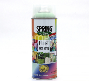 046 Краска  Spring Green св.мятный 400мл Краска