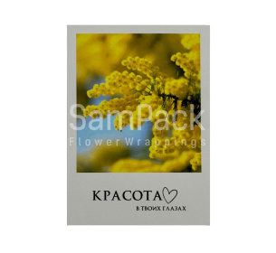 Открытки " Красота в твоих глазах "   1/5 Открытки 1/5 