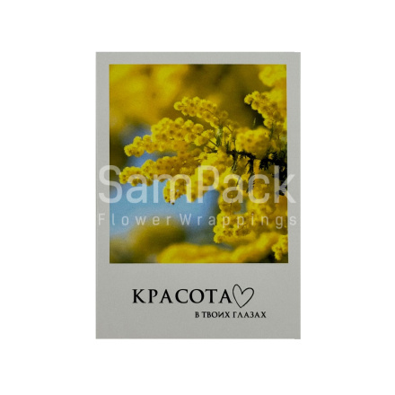 Открытки " Красота в твоих глазах "   1/5 Открытки 1/5 