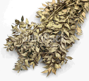 Изделия декор.стабил. "Рускус"  золото Изделия декор.сухоцветы