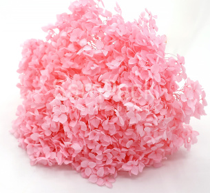 Изделия декор.стабилизиров."Гортензия Light Pink " нежно-розовый (светло) Изделия декор.стабил.Гортензия 