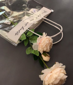 Выгодное предложение! Скидка 10% на прозрачные пакеты для переноски (акция завершена). - SamPack.Store Выгодное предложение! Скидка 10% на прозрачные пакеты для переноски (акция завершена). - SamPack.Store