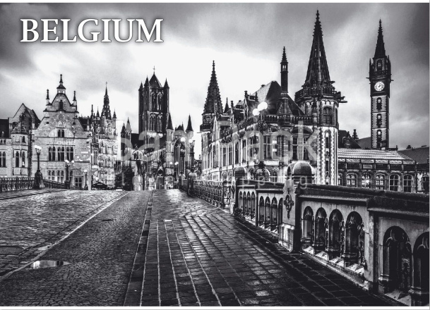 Бумага дизайнерская " BELGIUM" 49*66см в упак.10шт Бумага дизайнерская 