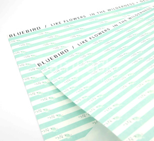 Бумага дизайн. "Принт цветочные полосы" неж.мята  53*53см в упак.10шт Бумага дизайнерская 
