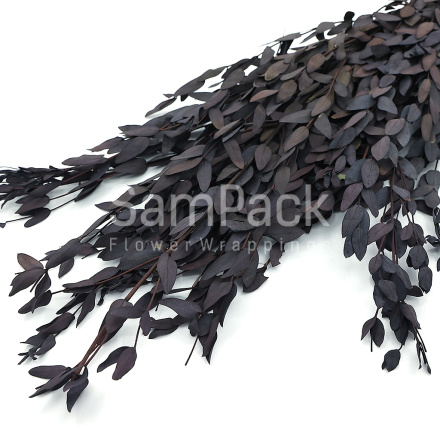 "Эвкалипт узколистный" шоколадный Изделия декор.сухоцветы