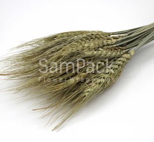Изделия декор."Пшеница" натуральный (травяной) Изделия декор.сухоцветы