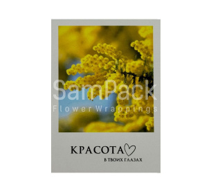 Открытки " Красота в твоих глазах "   1/5 Открытки 1/5 