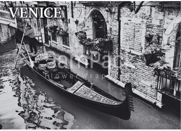 Бумага дизайнерская "VENICE" 49*66см в упак.10шт Бумага дизайнерская 
