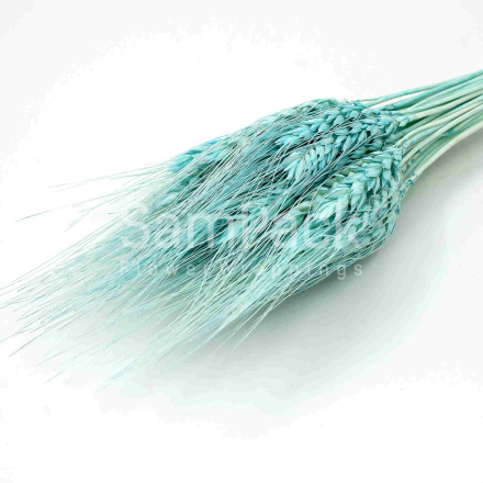 Изделия декор."Пшеница" бирюзовый (голубой) Изделия декор.сухоцветы