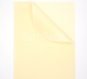 Пленка мат.листовая однотонная "LIGHT" кремовый №243 58*58 cm Пленка мат.листовая однотонная "LIGHT" 58*58 cm