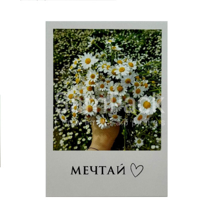 Открытки " Мечтай " сердце+ромашки 1/5 Открытки 1/5 