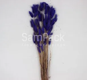 Лагурус 50гр фиолетовый Лагурус